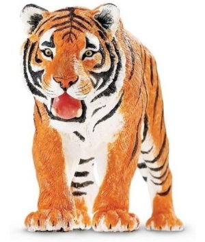 Tigre Siberiano Safari
