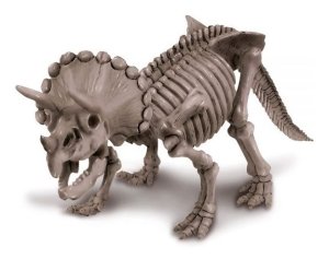Esqueleto De Dinosaurio – 4m – Fósiles