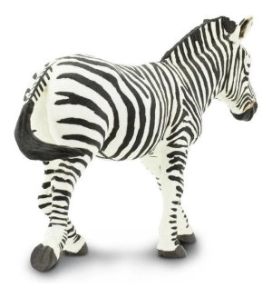 Zebra – Safari