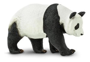 Panda – Safari