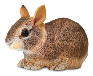 Conejo Cola Algodón  – Safari