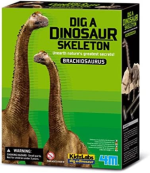 Excava Esqueleto de Dinosaurio  Braquiosaurio 4M